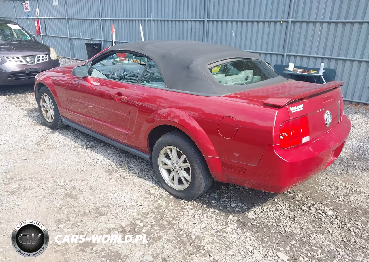 2006 Ford Mustang V6 VIN:1ZVFT84N165188882 - 3