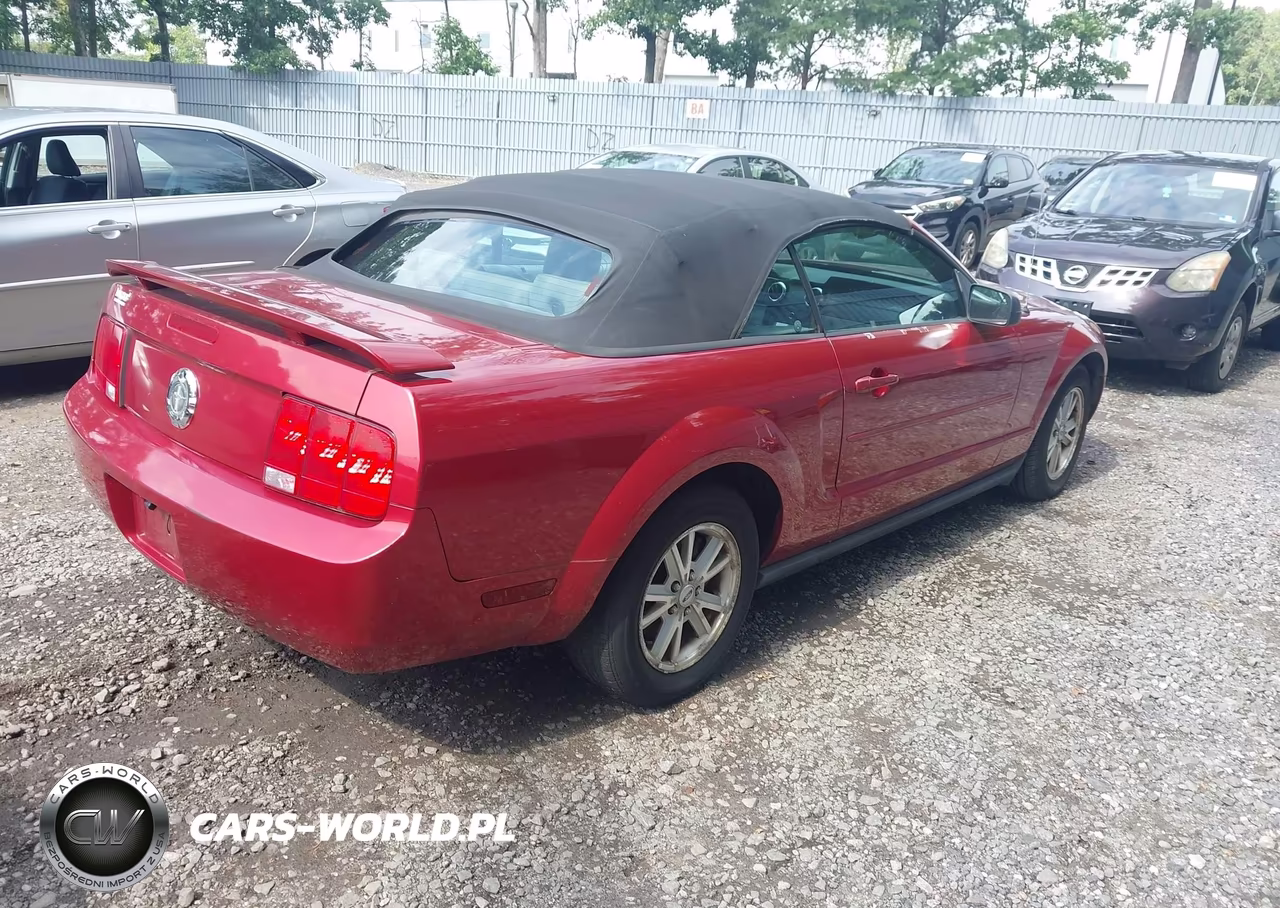 2006 Ford Mustang V6 VIN:1ZVFT84N165188882 - 4