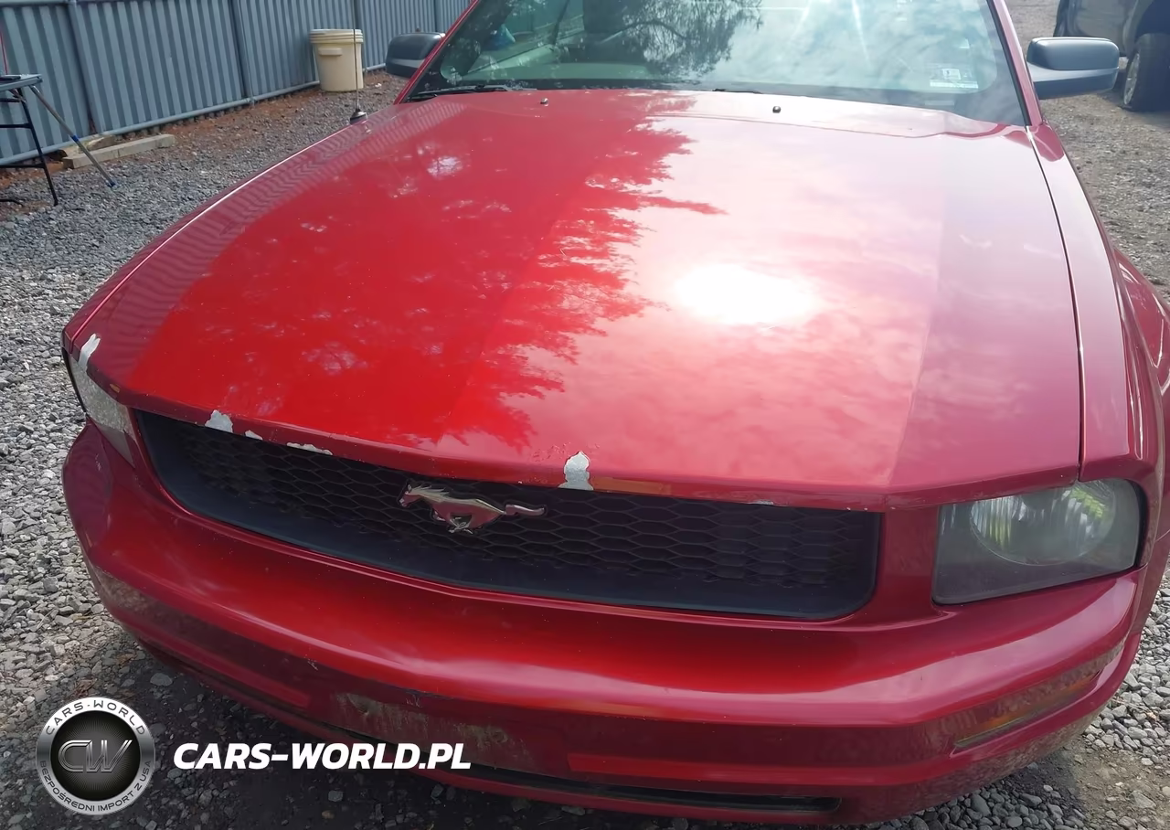 2006 Ford Mustang V6 VIN:1ZVFT84N165188882 - 6