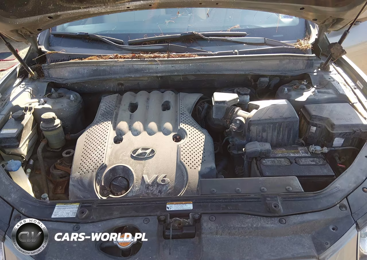 2008 Hyundai Santa Fe Gls VIN:5NMSG13D78H140177 - 10