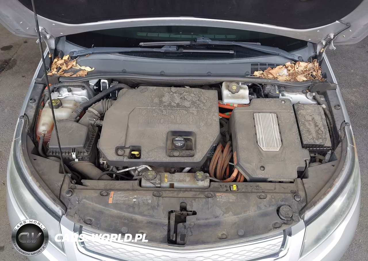 2015 Chevrolet Volt VIN:1G1RD6E49FU141301 - 10