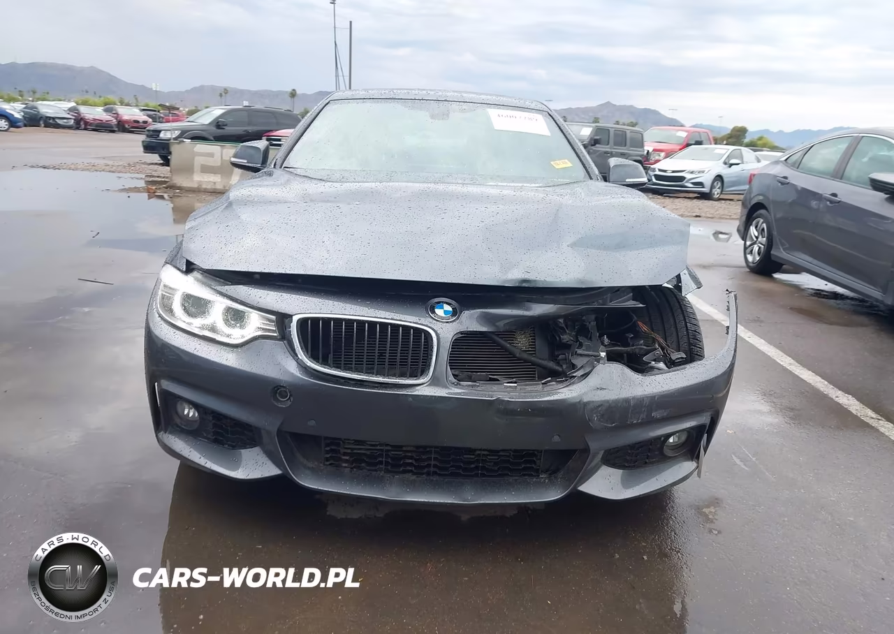 2016 BMW 435I VIN:WBA3R1C51GK529100 - 13