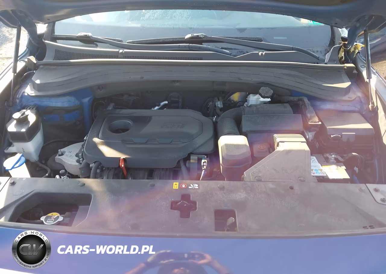 2019 Hyundai Santa Fe Sel VIN:5NMS33AD0KH031562 - 10