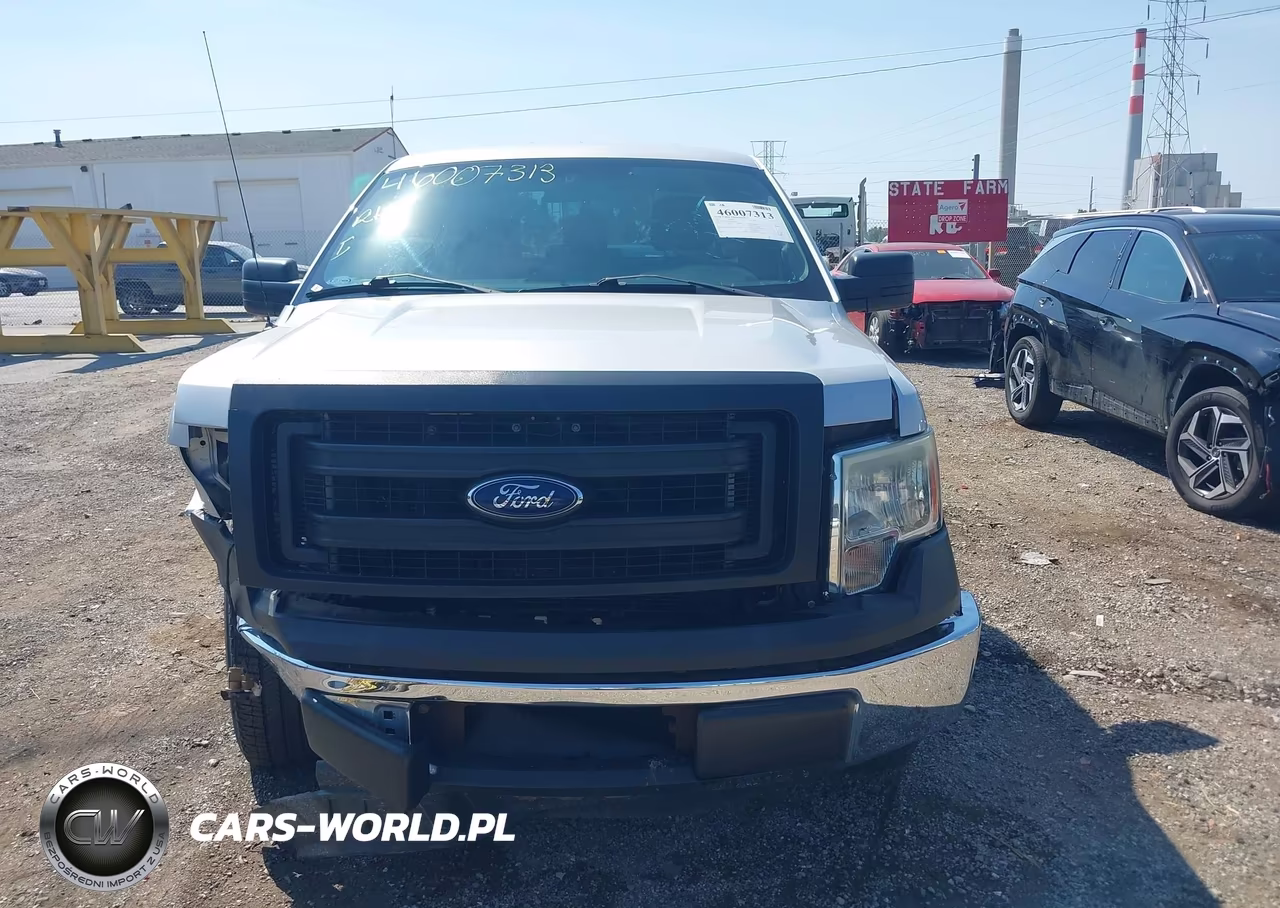 2013 Ford F-150 Xl VIN:1FTMF1CM1DKG44170 - 12