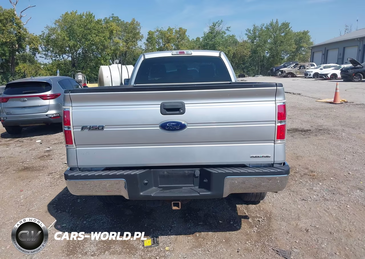 2013 Ford F-150 Xl VIN:1FTMF1CM1DKG44170 - 16