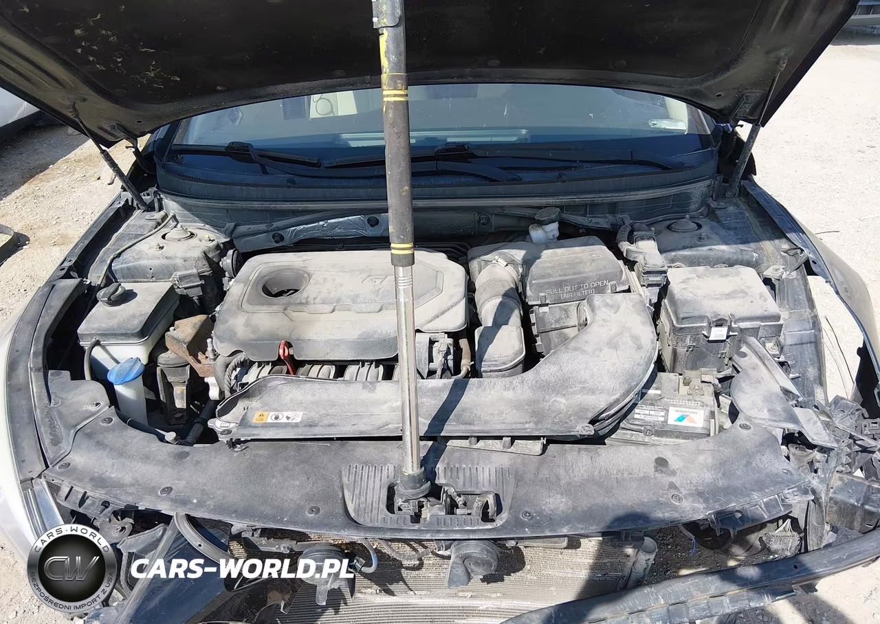 2015 Hyundai Sonata Sport VIN:5NPE34AF3FH242817 - 10