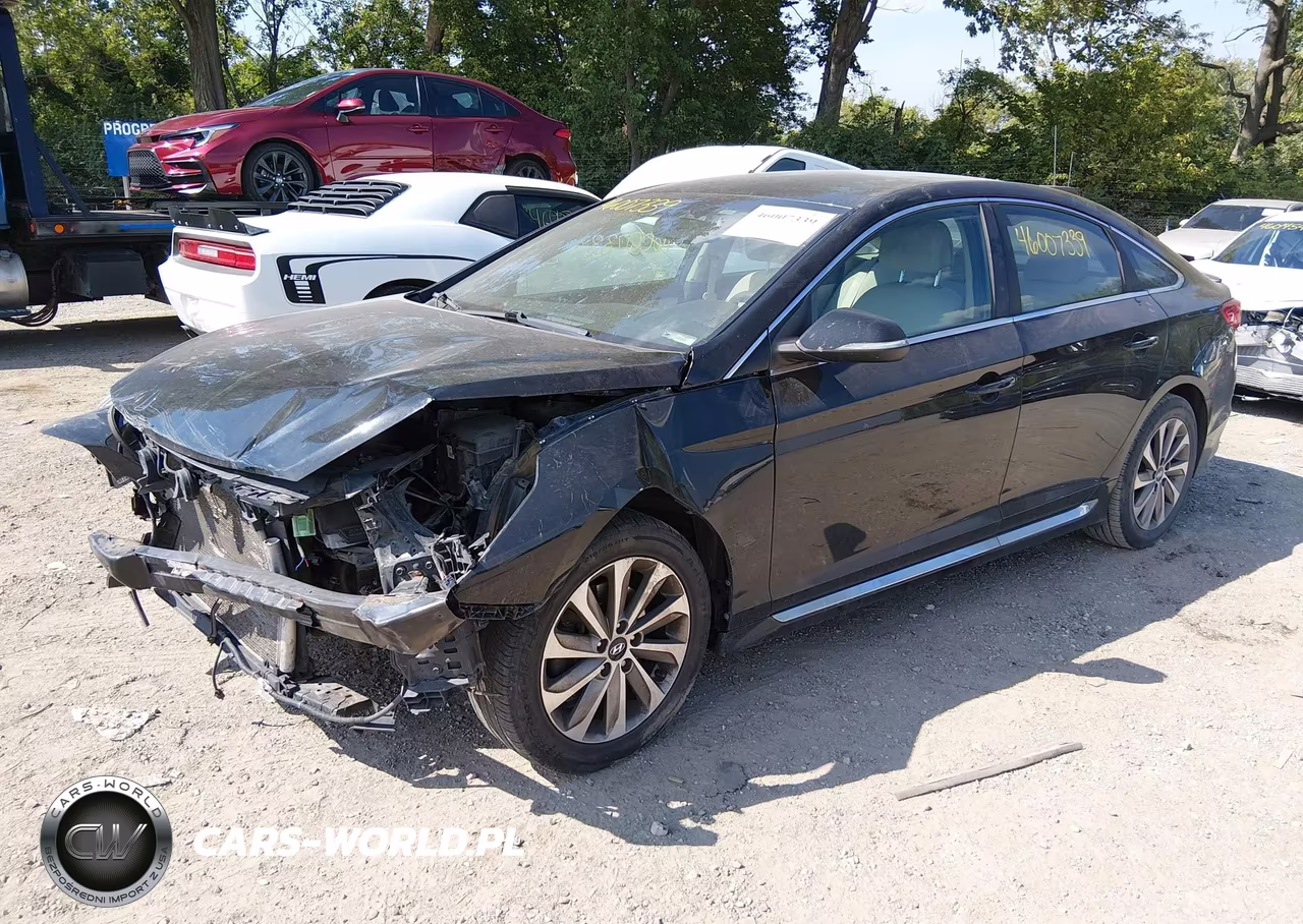 2015 Hyundai Sonata Sport VIN:5NPE34AF3FH242817 - 2