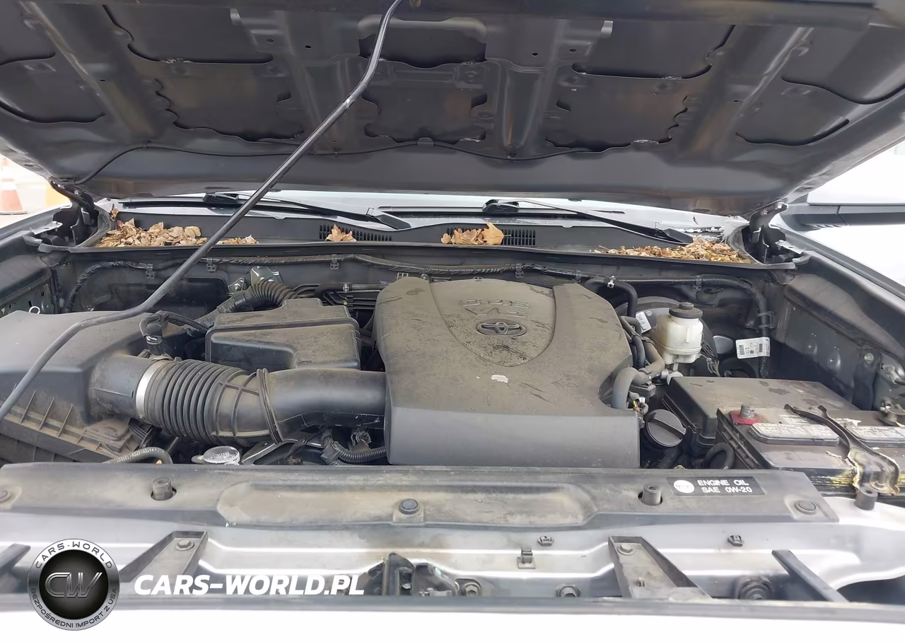 2019 Toyota Tacoma Sr5 V6 VIN:3TMCZ5AN5KM257715 - 10