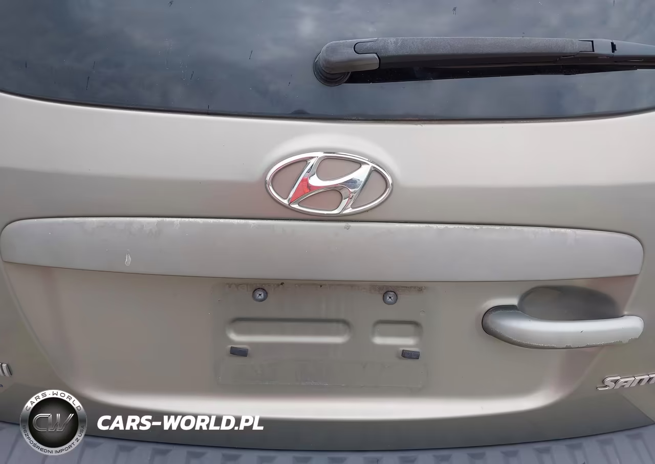 2009 Hyundai Santa Fe Gls VIN:5NMSG13D29H326887 - 6