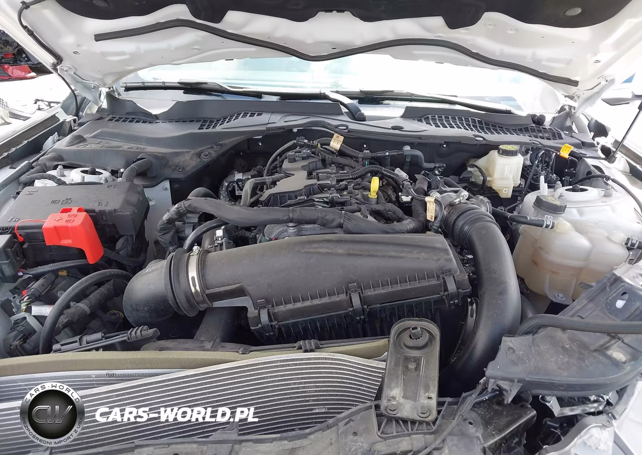 2024 Ford Mustang Ecoboost Premium Fastback VIN:1FA6P8TH1R5131403 - 10