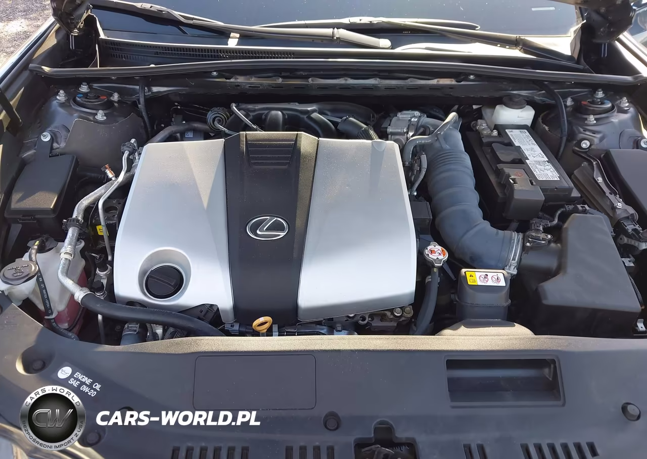 2022 Lexus Es 350 VIN:58ADZ1B19NU117759 - 10