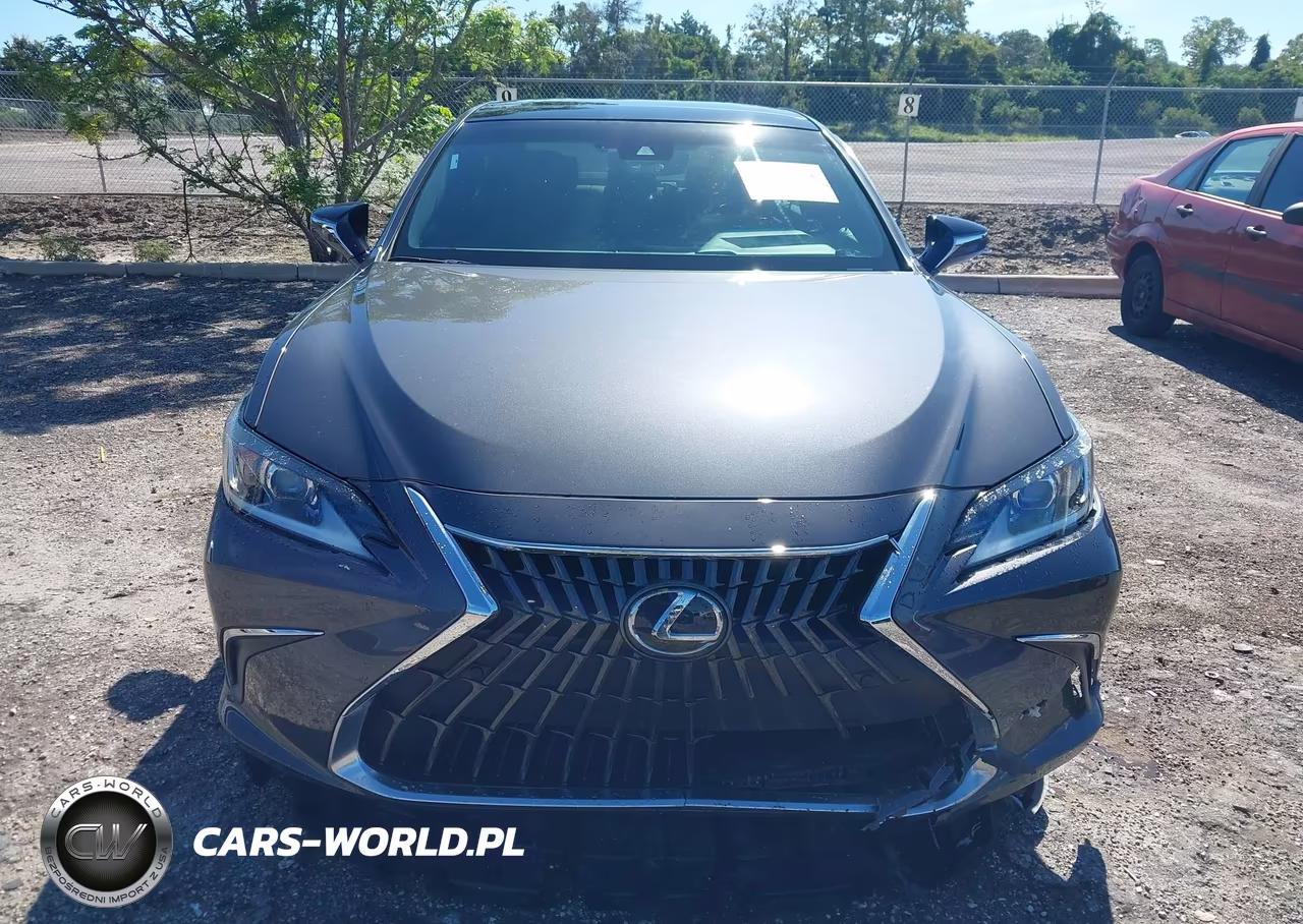 2022 Lexus Es 350 VIN:58ADZ1B19NU117759 - 12