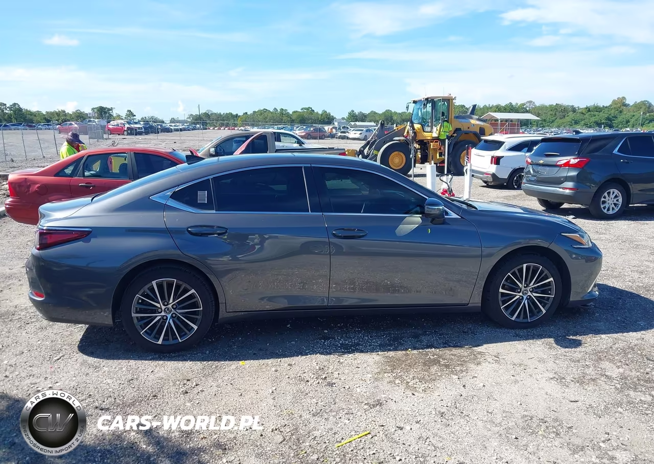 2022 Lexus Es 350 VIN:58ADZ1B19NU117759 - 13