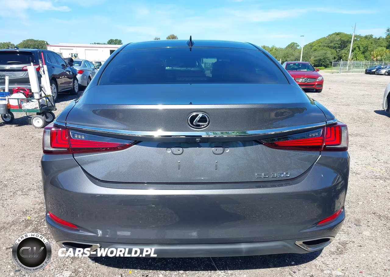 2022 Lexus Es 350 VIN:58ADZ1B19NU117759 - 16