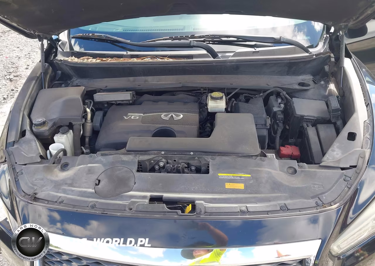2019 Infiniti Qx60 Pure VIN:5N1DL0MNXKC562158 - 10