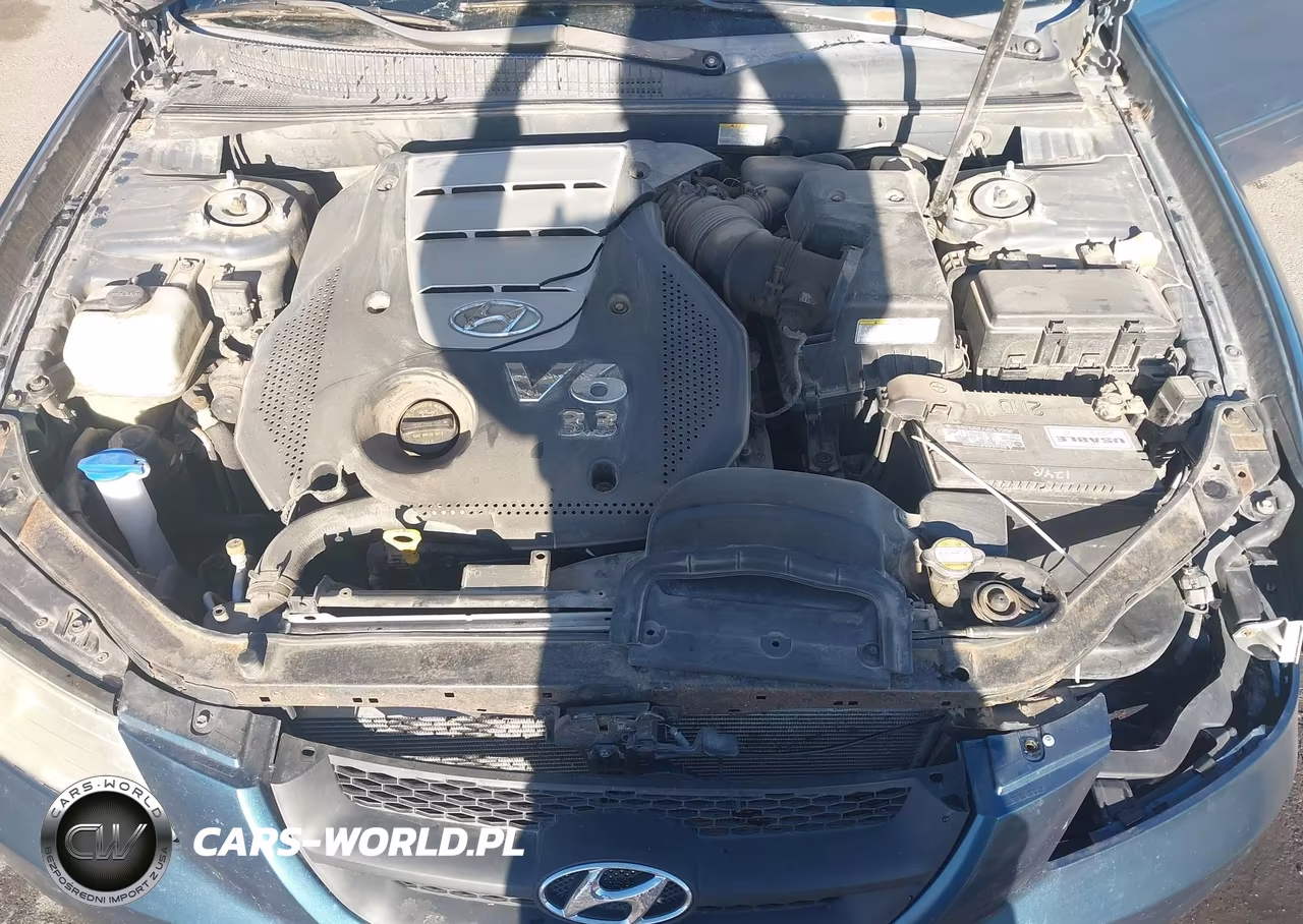 2006 Hyundai Sonata Gls V6-Lx V6 VIN:5NPEU46F16H063973 - 10
