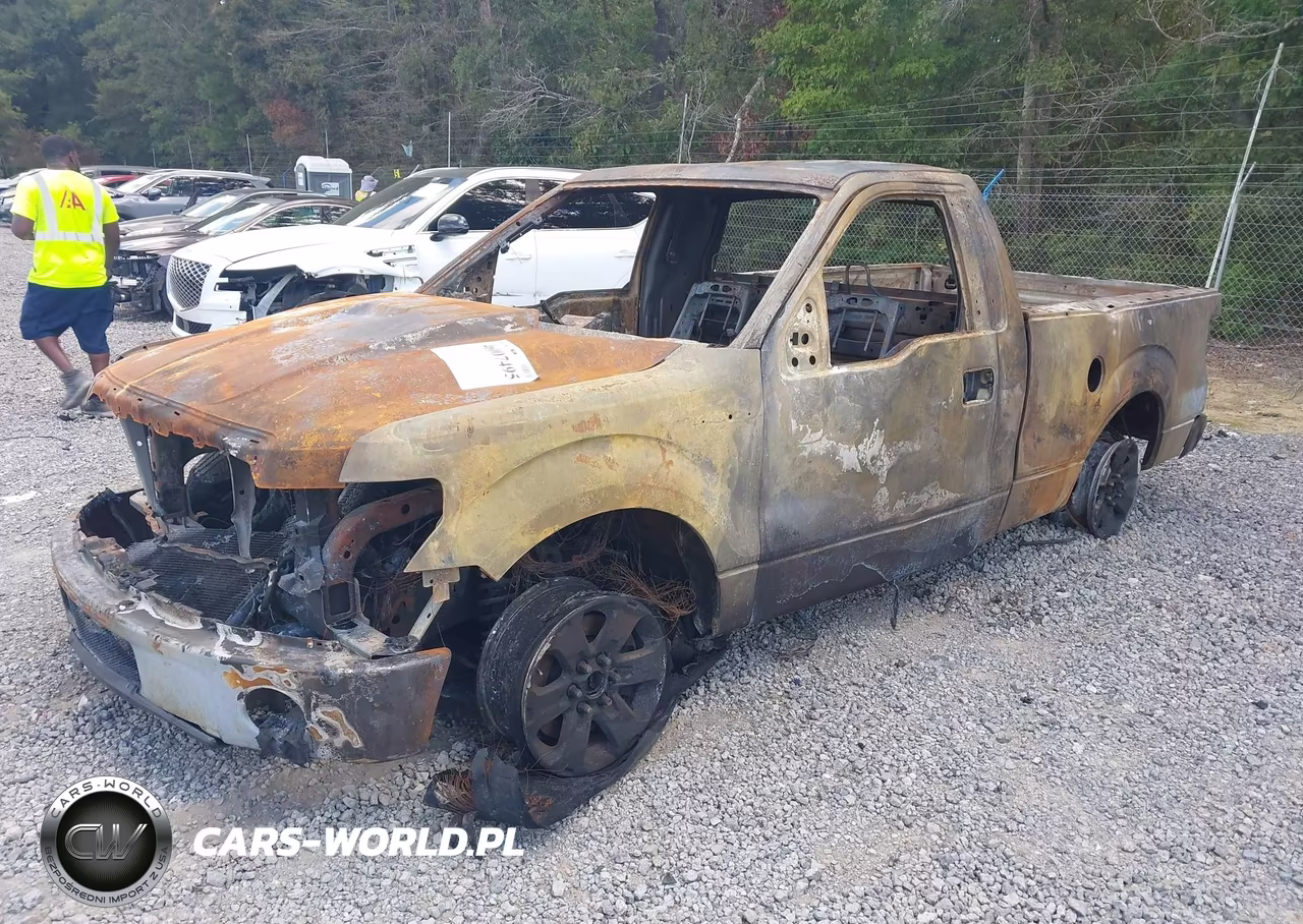 2011 Ford F-150 Stx VIN:1FTMF1CF2BFB07895 - 2