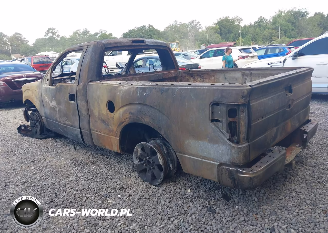 2011 Ford F-150 Stx VIN:1FTMF1CF2BFB07895 - 3