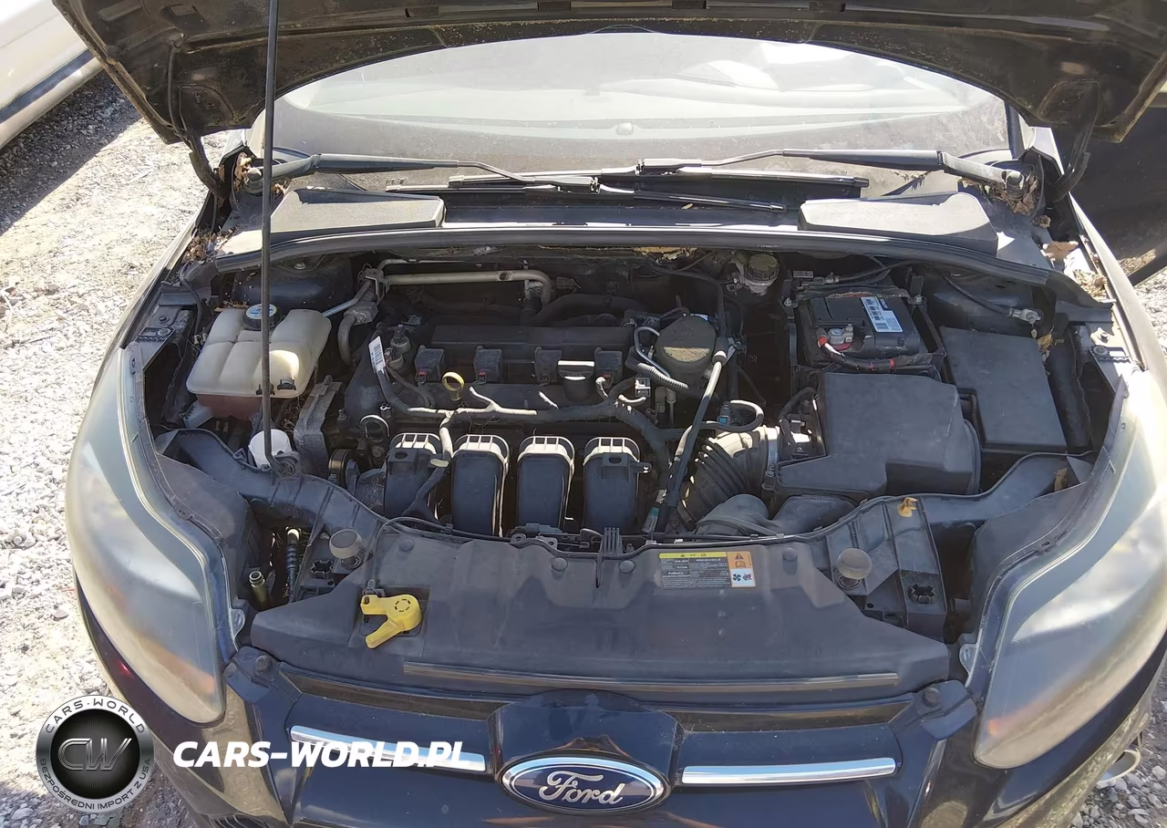 2013 Ford Focus Titanium VIN:1FADP3N28DL284089 - 10