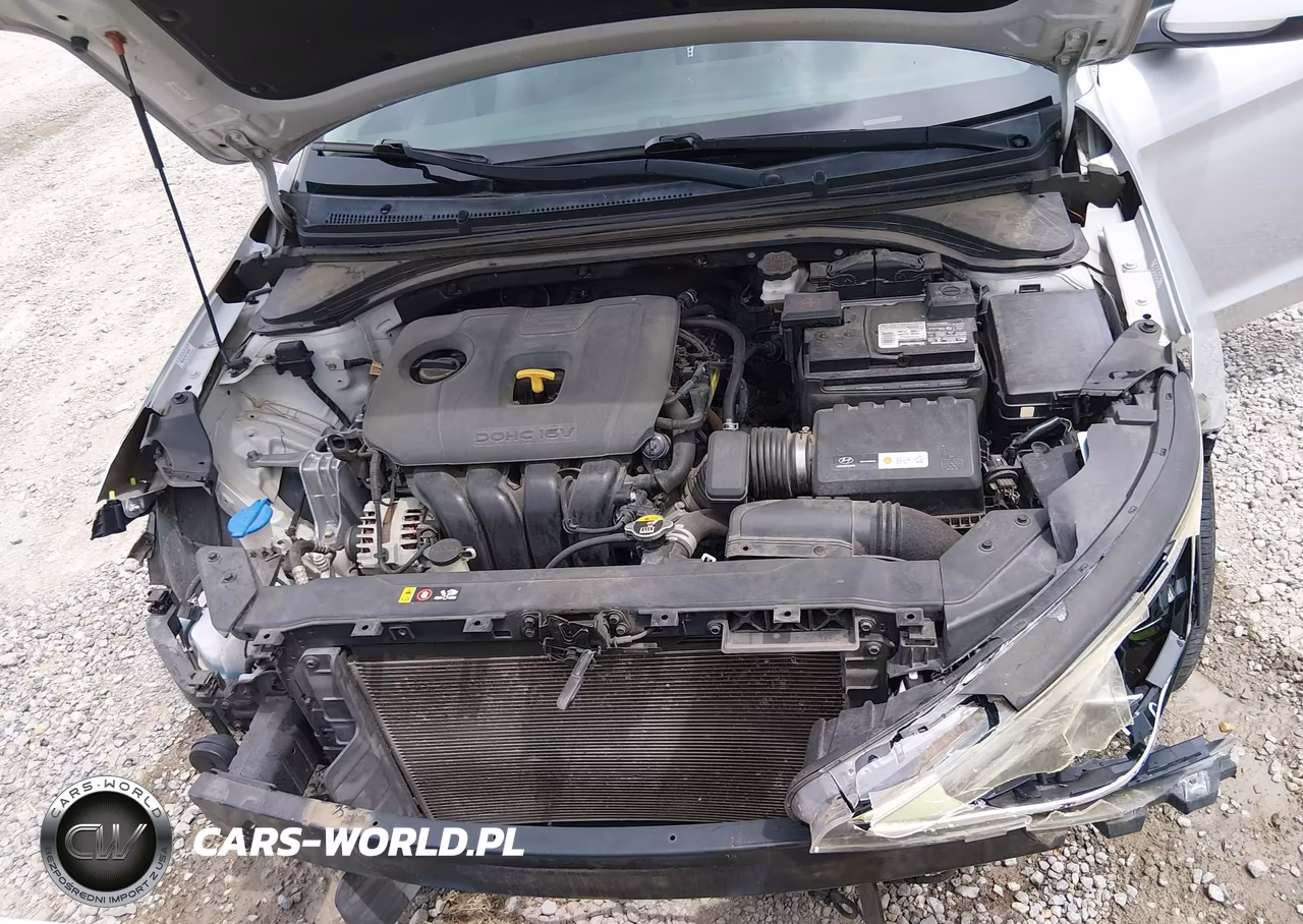 2019 Hyundai Elantra Sel VIN:KMHD84LF6KU730360 - 10