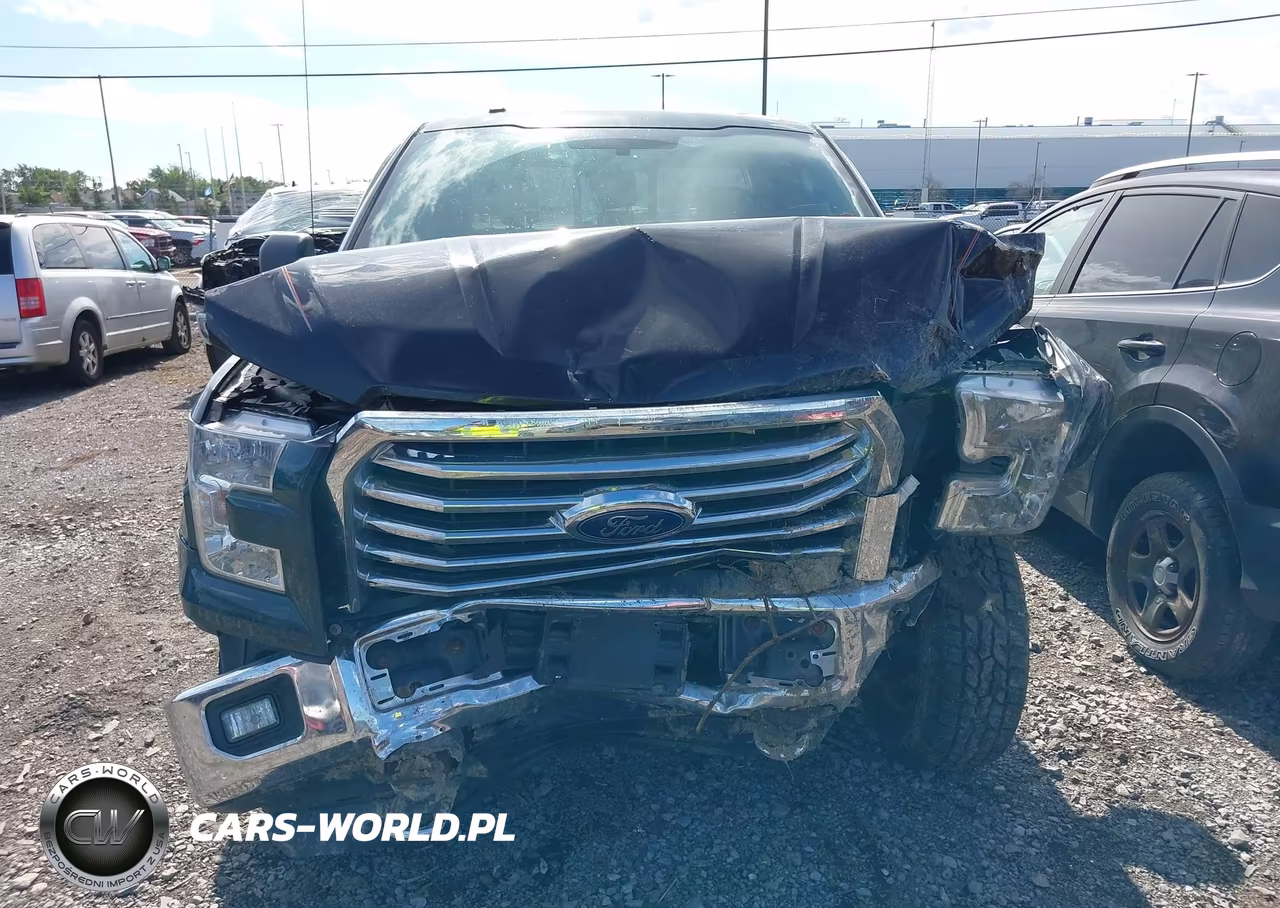 2015 Ford F-150 Xlt VIN:1FTFX1EF9FFB94350 - 12