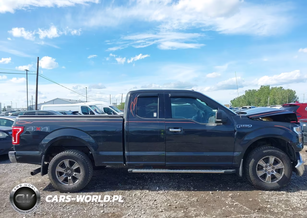 2015 Ford F-150 Xlt VIN:1FTFX1EF9FFB94350 - 13