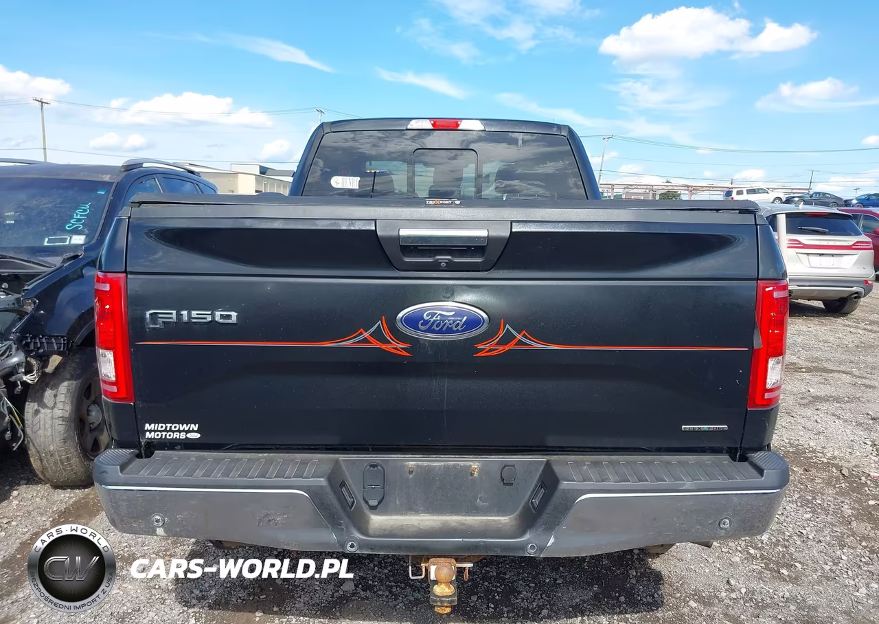 2015 Ford F-150 Xlt VIN:1FTFX1EF9FFB94350 - 16