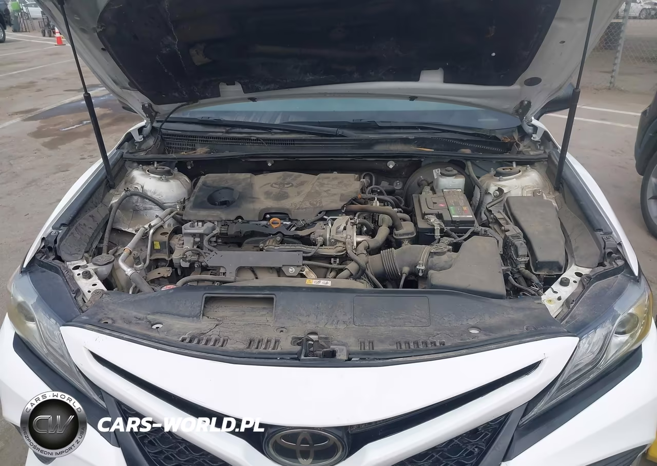 2019 Toyota Camry Se VIN:4T1B11HK3KU190921 - 10