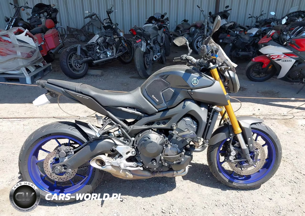 2014 Yamaha Fz09 C VIN:JYARN33YXEA000256 - 12