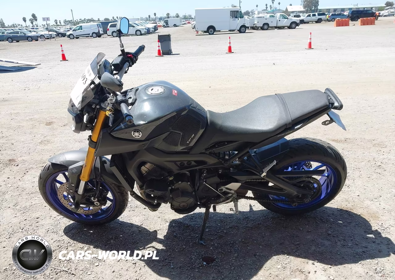 2014 Yamaha Fz09 C VIN:JYARN33YXEA000256 - 13
