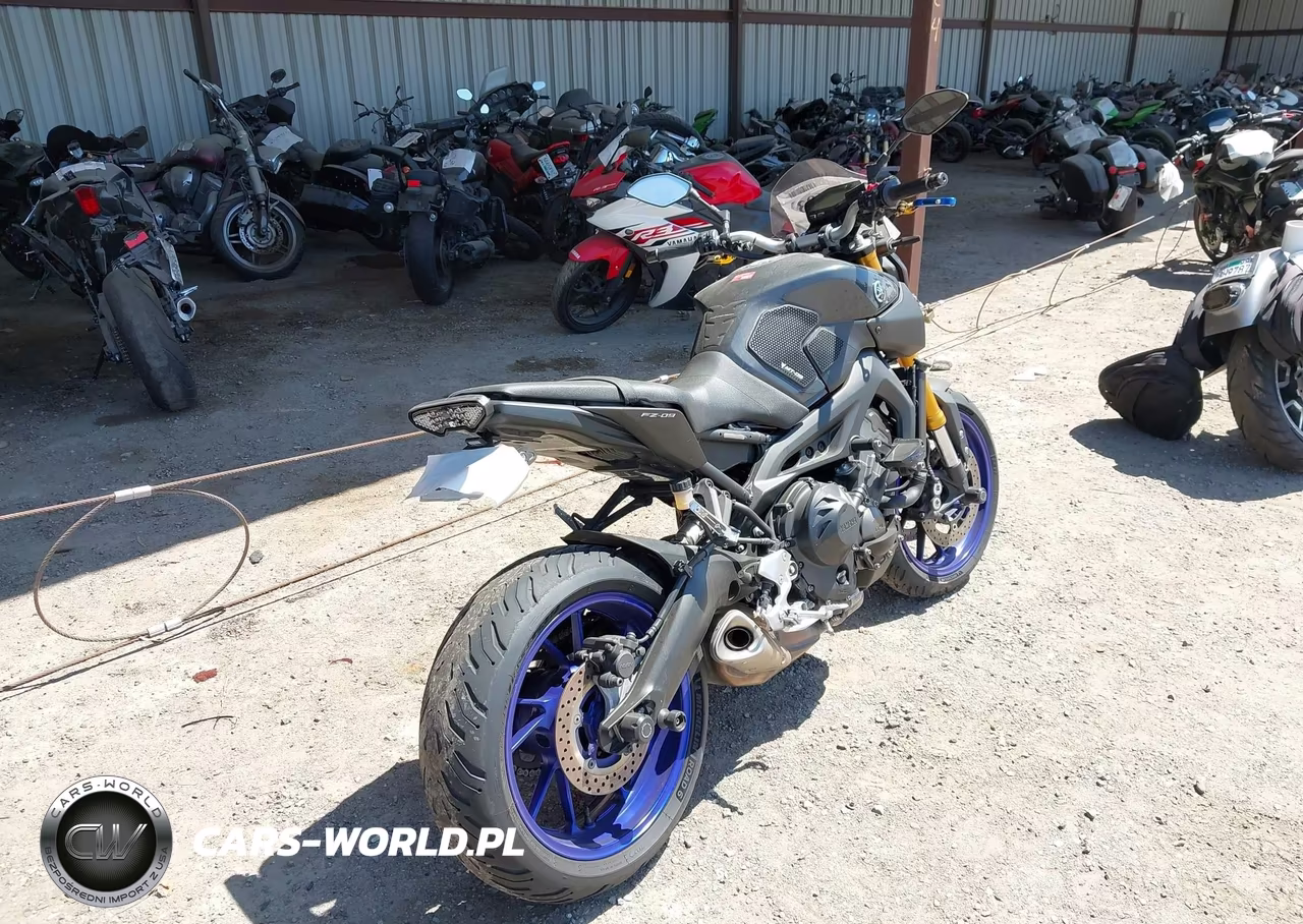 2014 Yamaha Fz09 C VIN:JYARN33YXEA000256 - 4