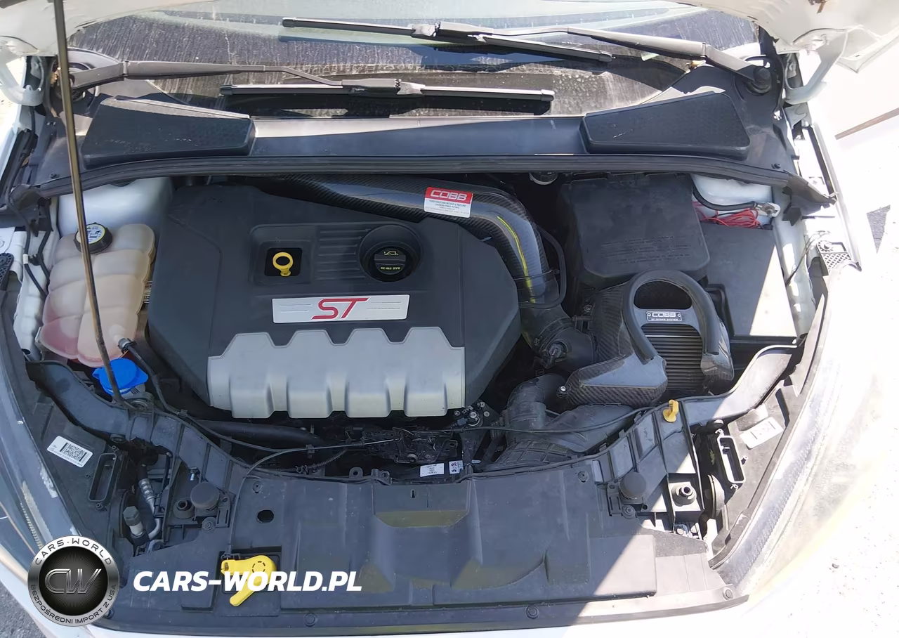 2016 Ford Focus St VIN:1FADP3L90GL289453 - 10
