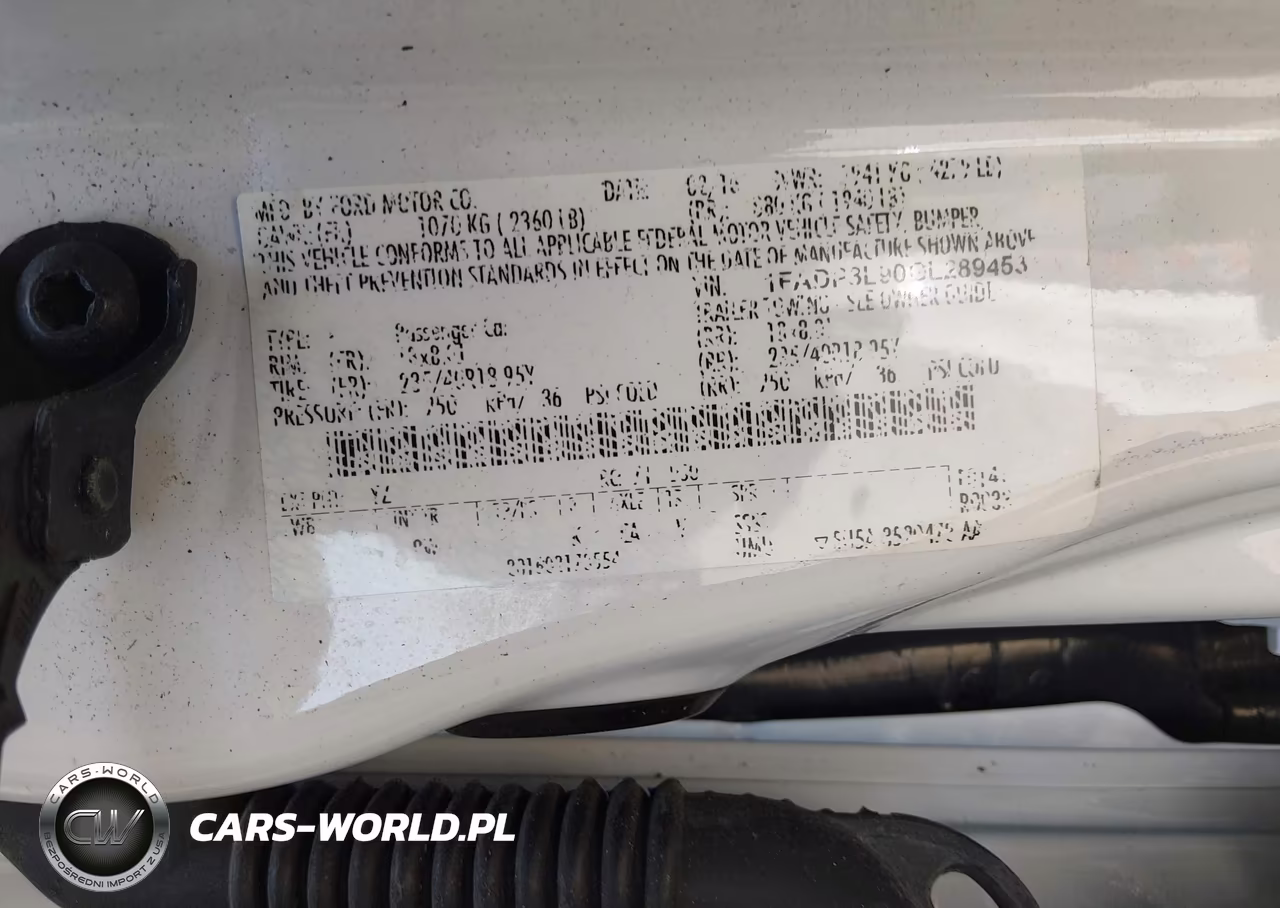 2016 Ford Focus St VIN:1FADP3L90GL289453 - 9