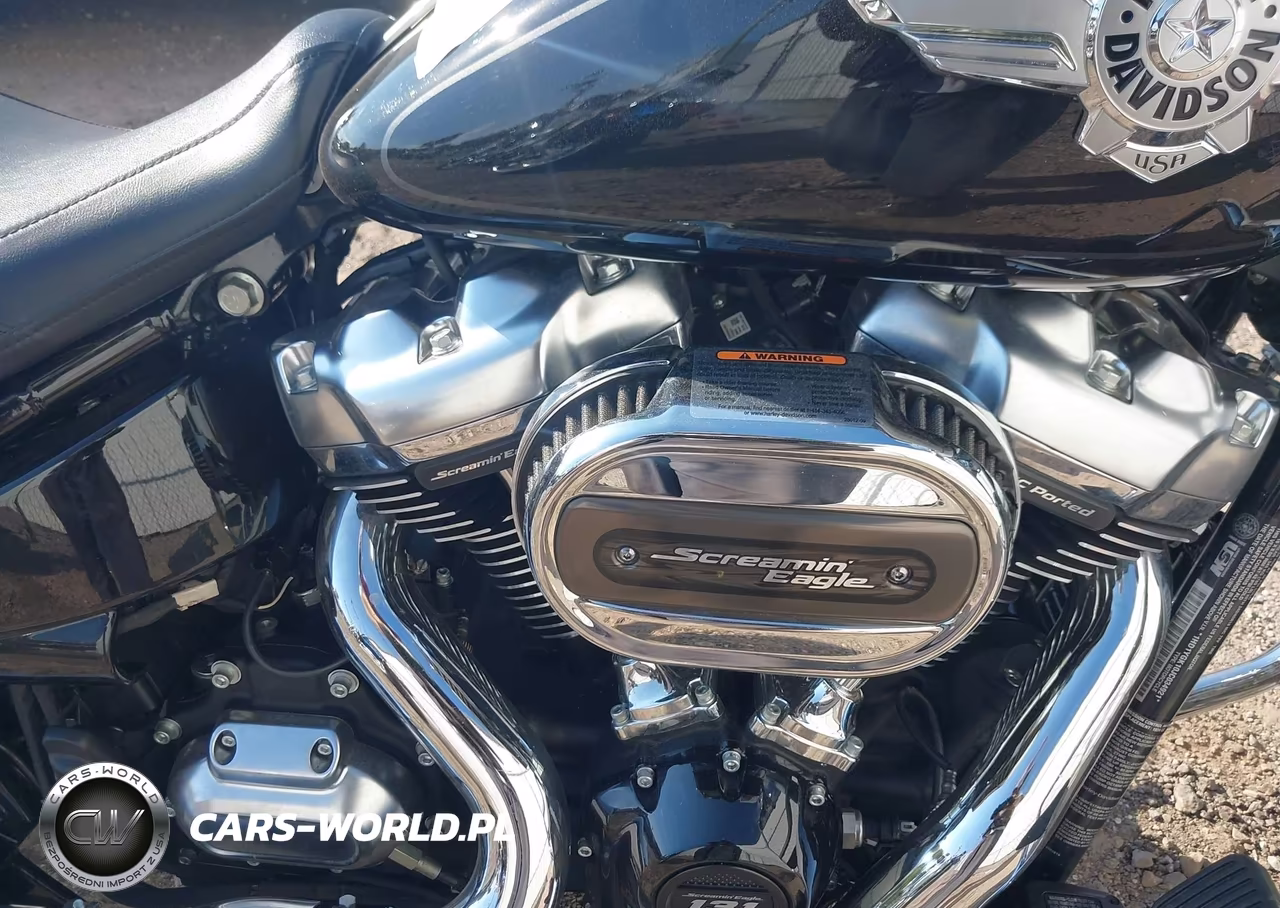 2018 Harley-Davidson Flfbs Fat Boy 114 VIN:1HD1YGK10JC034921 - 8