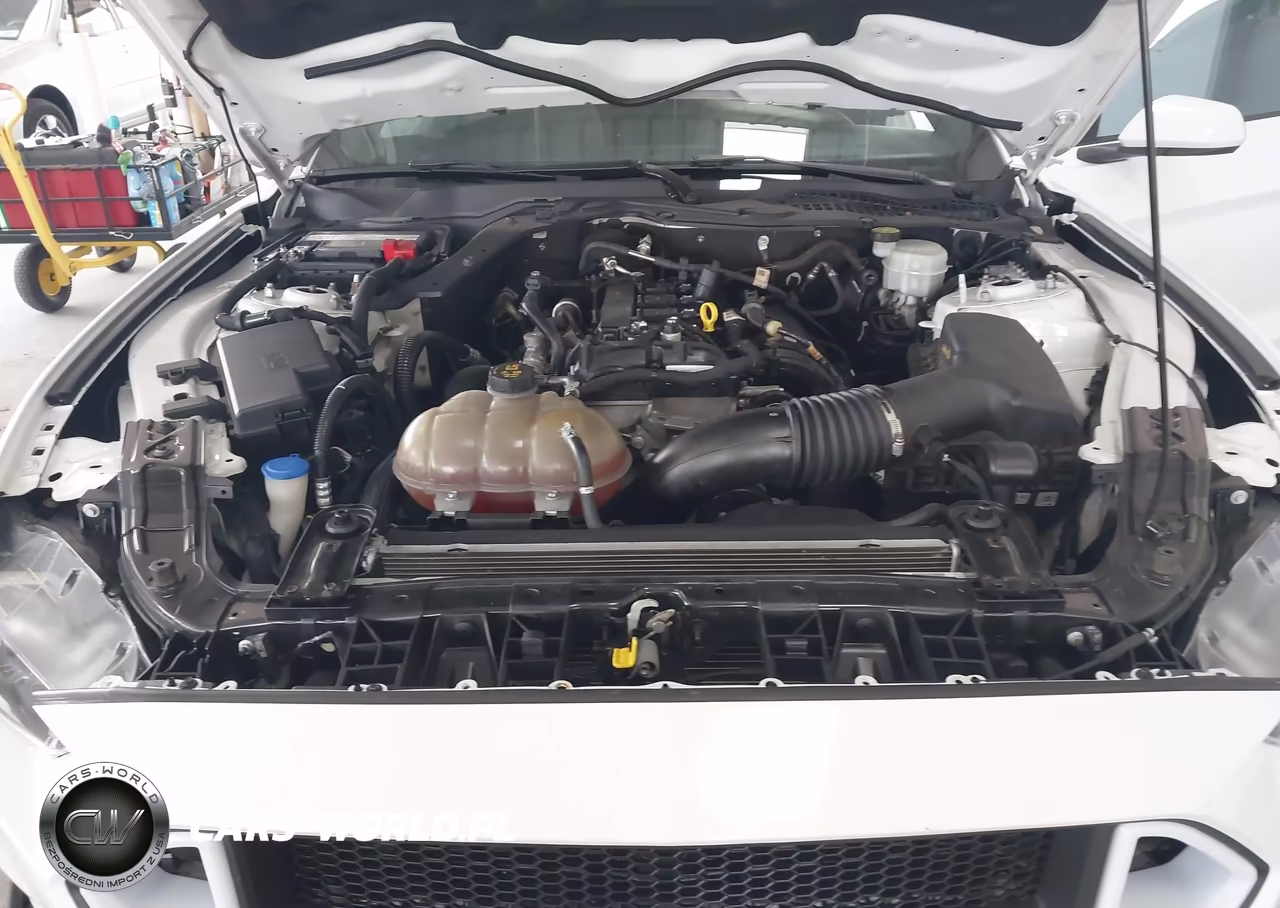 2020 Ford Mustang Ecoboost Fastback VIN:1FA6P8TH5L5143013 - 10
