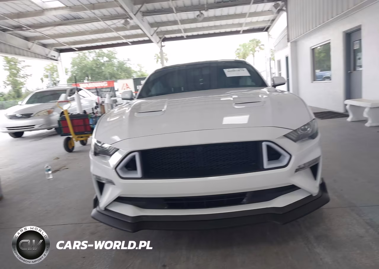 2020 Ford Mustang Ecoboost Fastback VIN:1FA6P8TH5L5143013 - 12