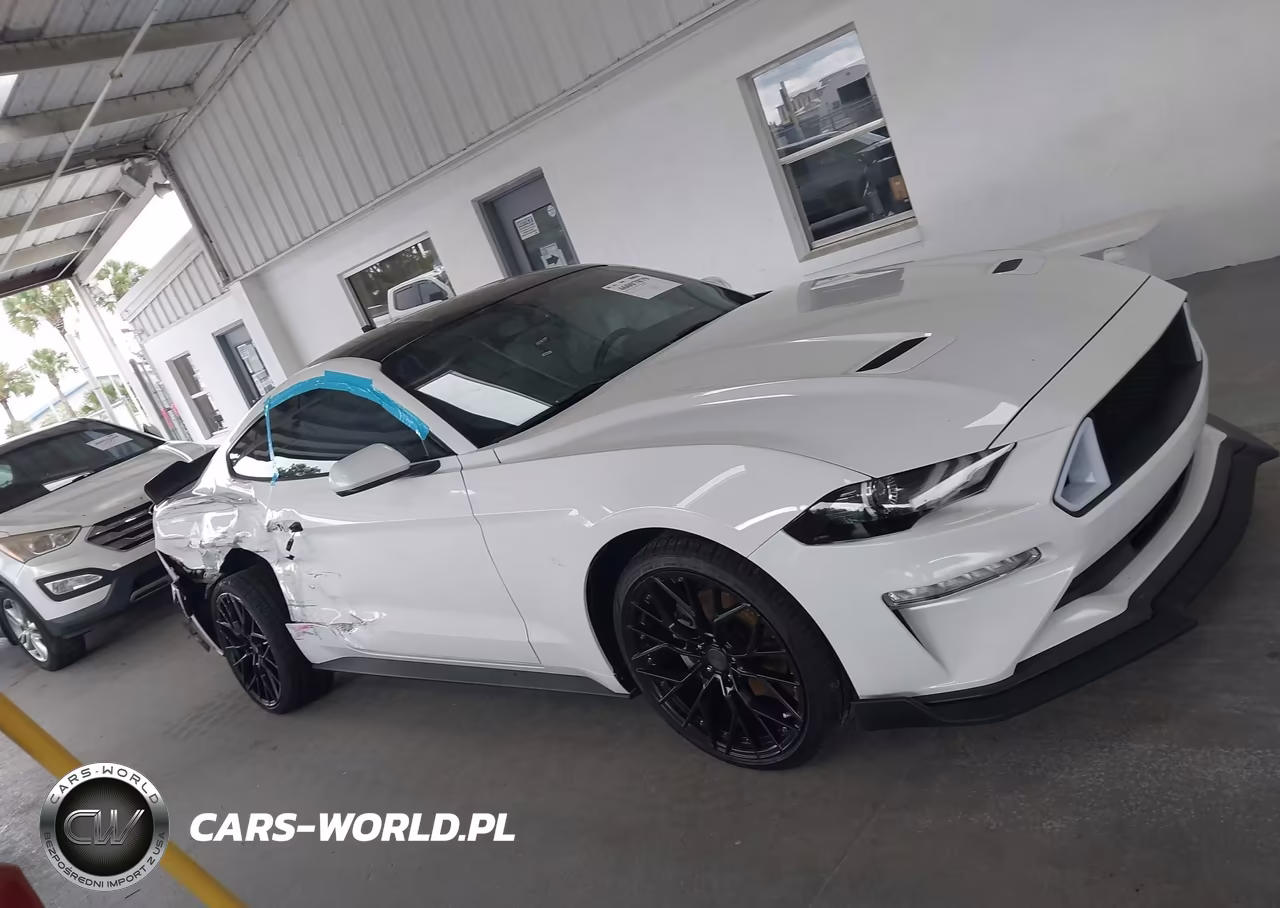 2020 Ford Mustang Ecoboost Fastback VIN:1FA6P8TH5L5143013 - 13