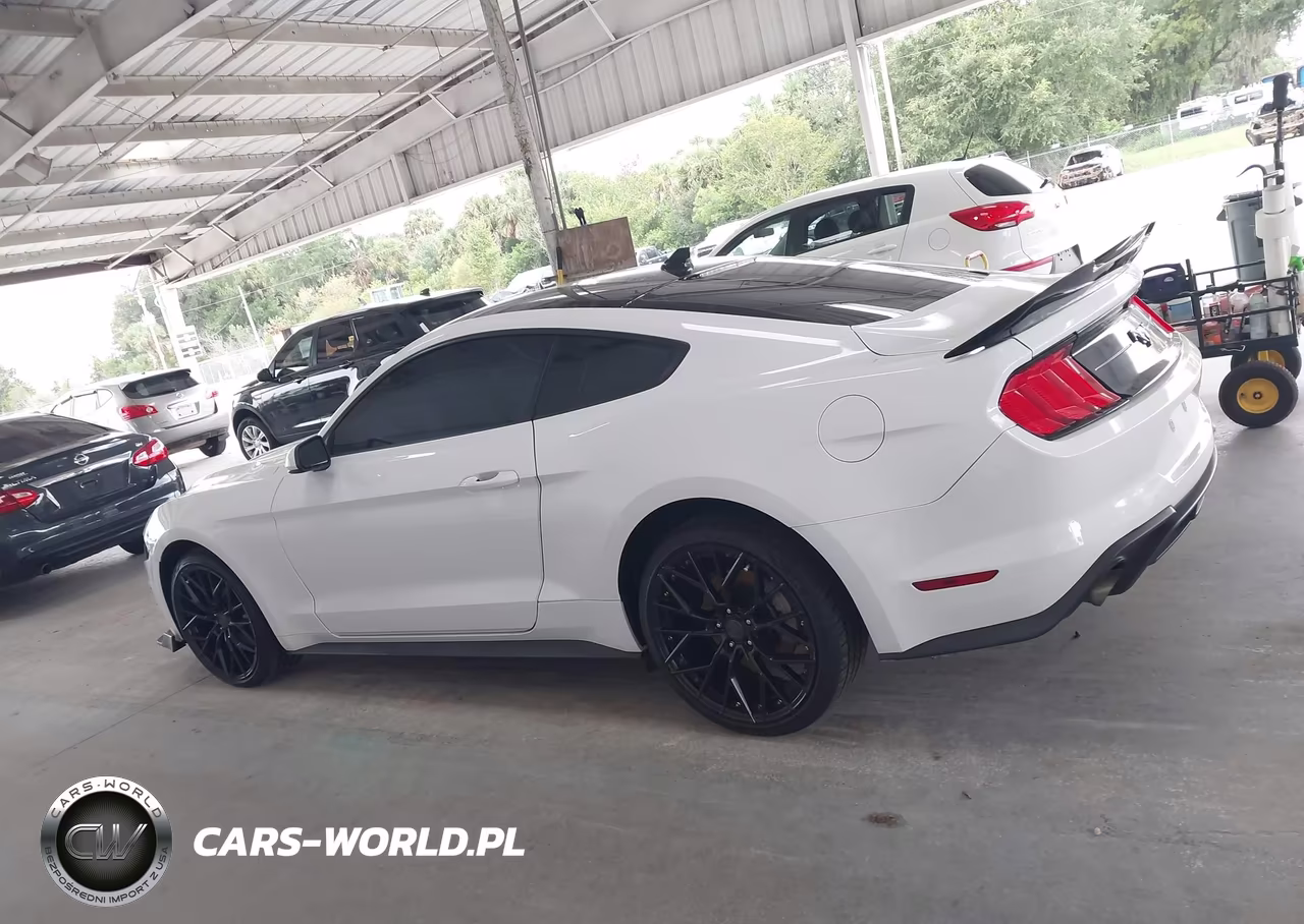 2020 Ford Mustang Ecoboost Fastback VIN:1FA6P8TH5L5143013 - 14