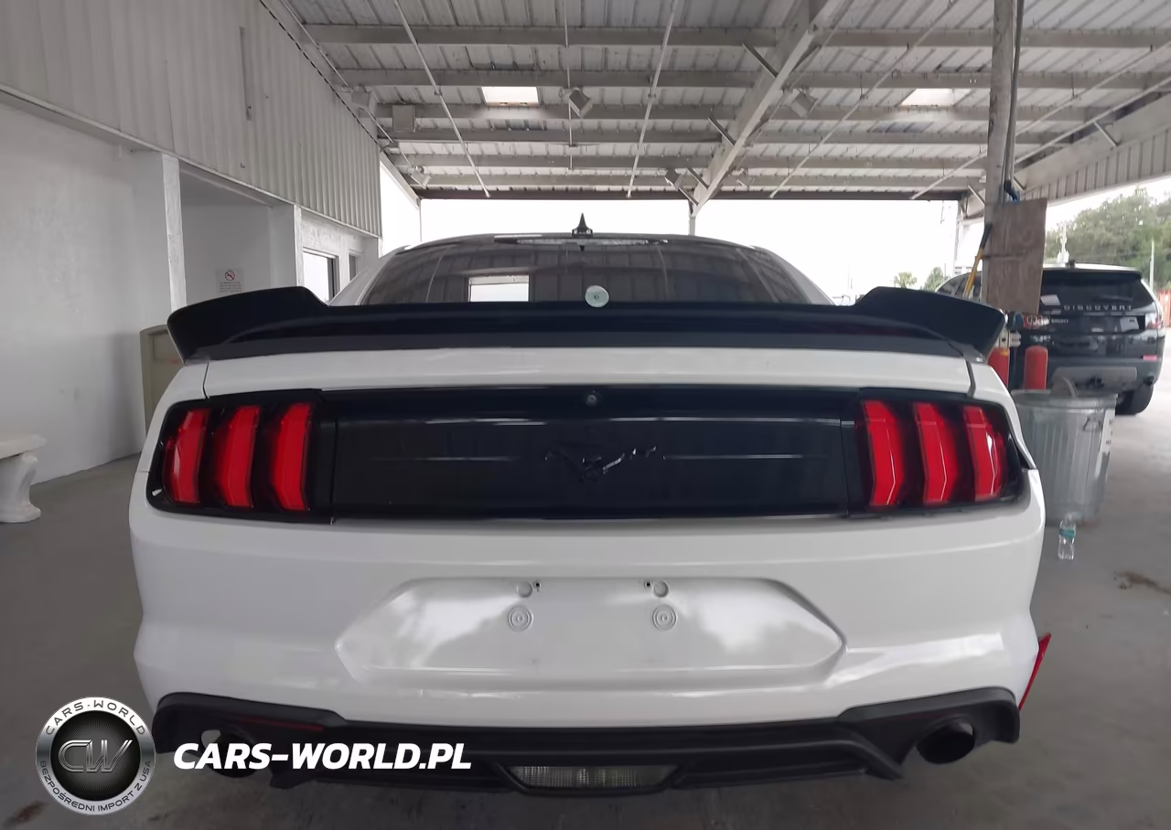 2020 Ford Mustang Ecoboost Fastback VIN:1FA6P8TH5L5143013 - 16