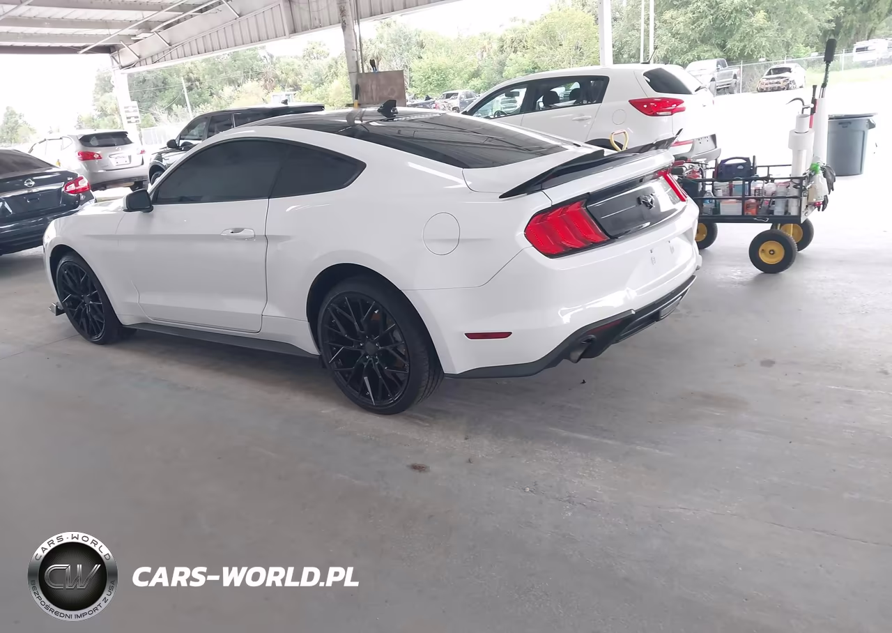 2020 Ford Mustang Ecoboost Fastback VIN:1FA6P8TH5L5143013 - 3