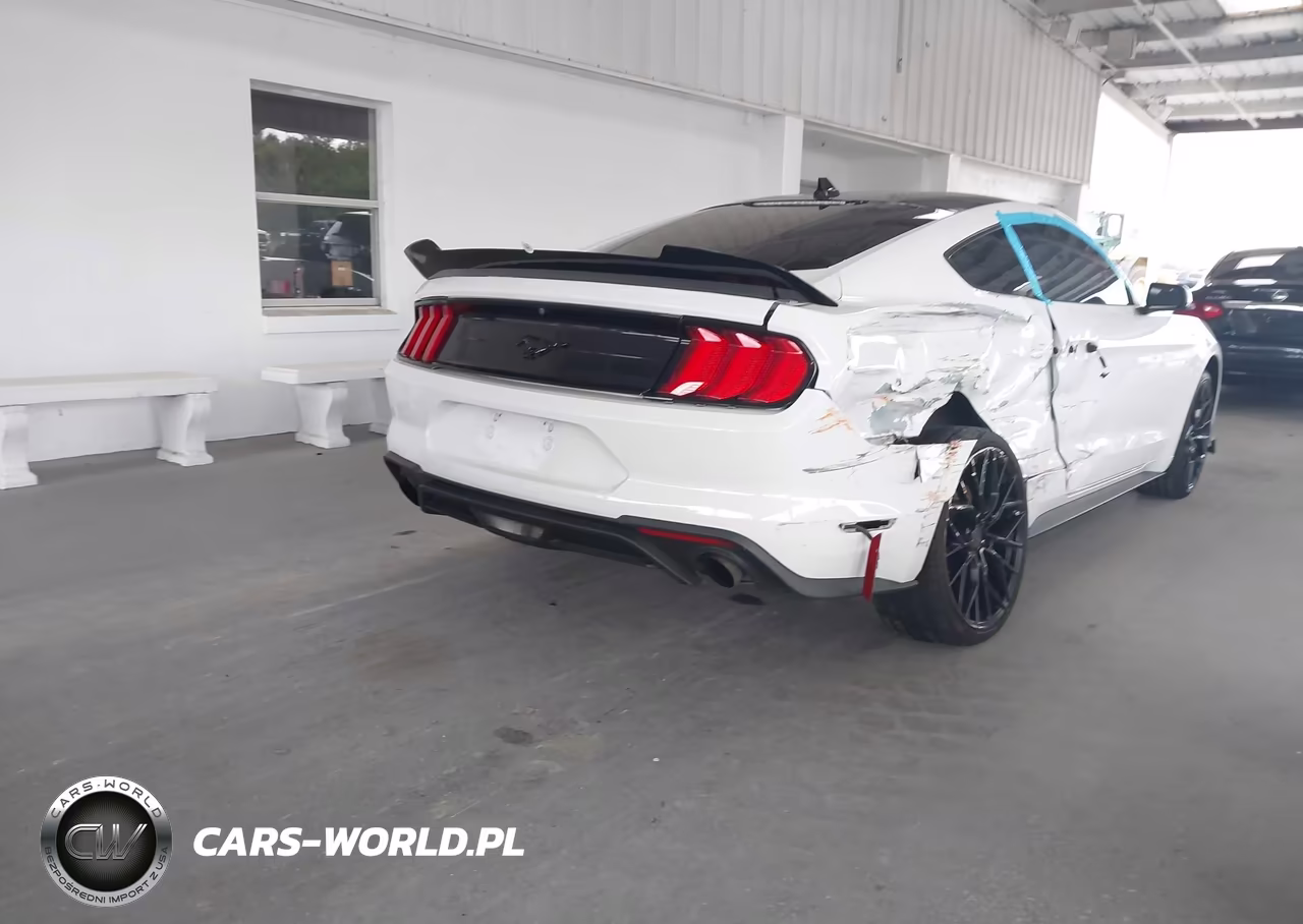2020 Ford Mustang Ecoboost Fastback VIN:1FA6P8TH5L5143013 - 4