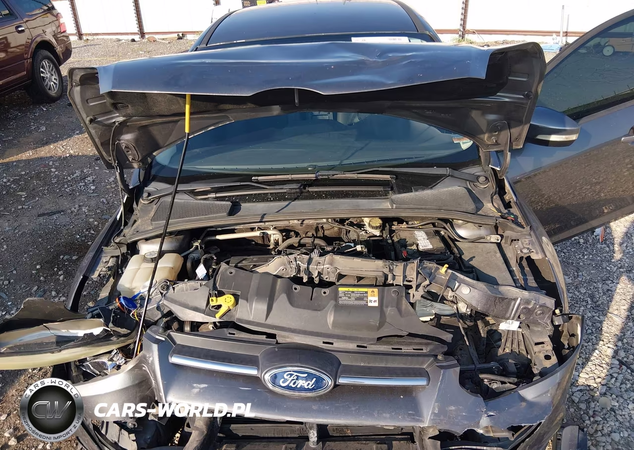 2013 Ford Focus Se VIN:1FADP3K20DL376754 - 10