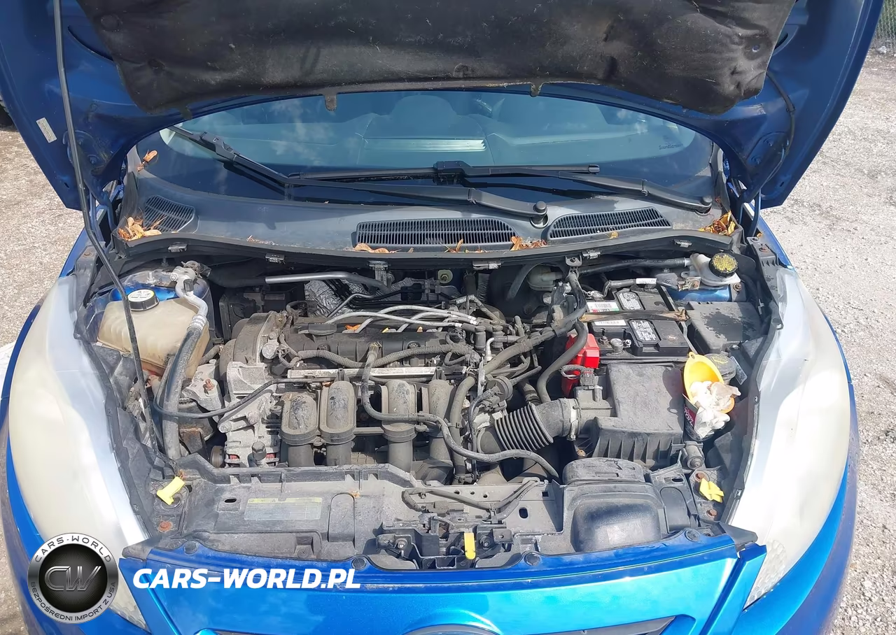 2011 Ford Fiesta Se VIN:3FADP4EJ5BM105788 - 10