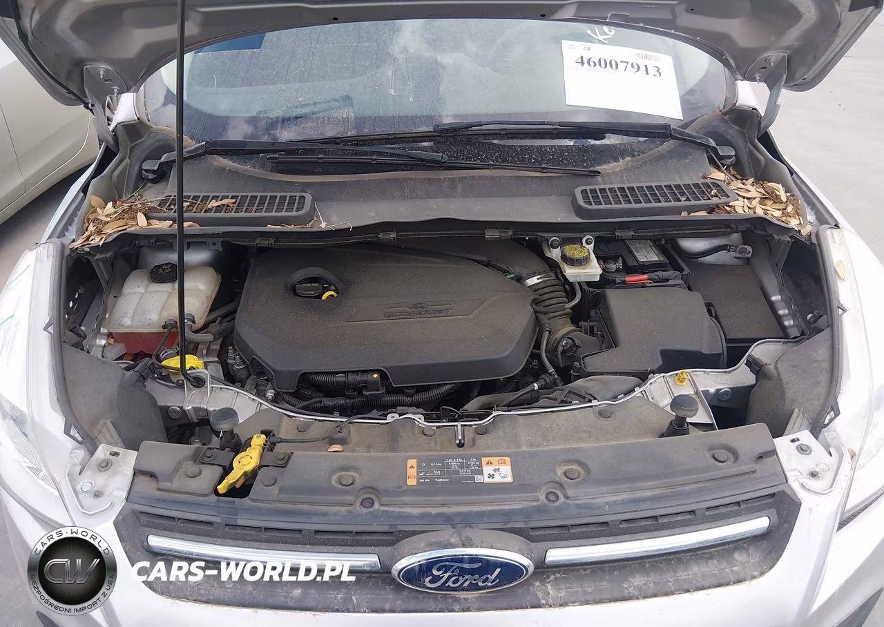 2014 Ford Escape Se VIN:1FMCU0GX6EUE25559 - 10