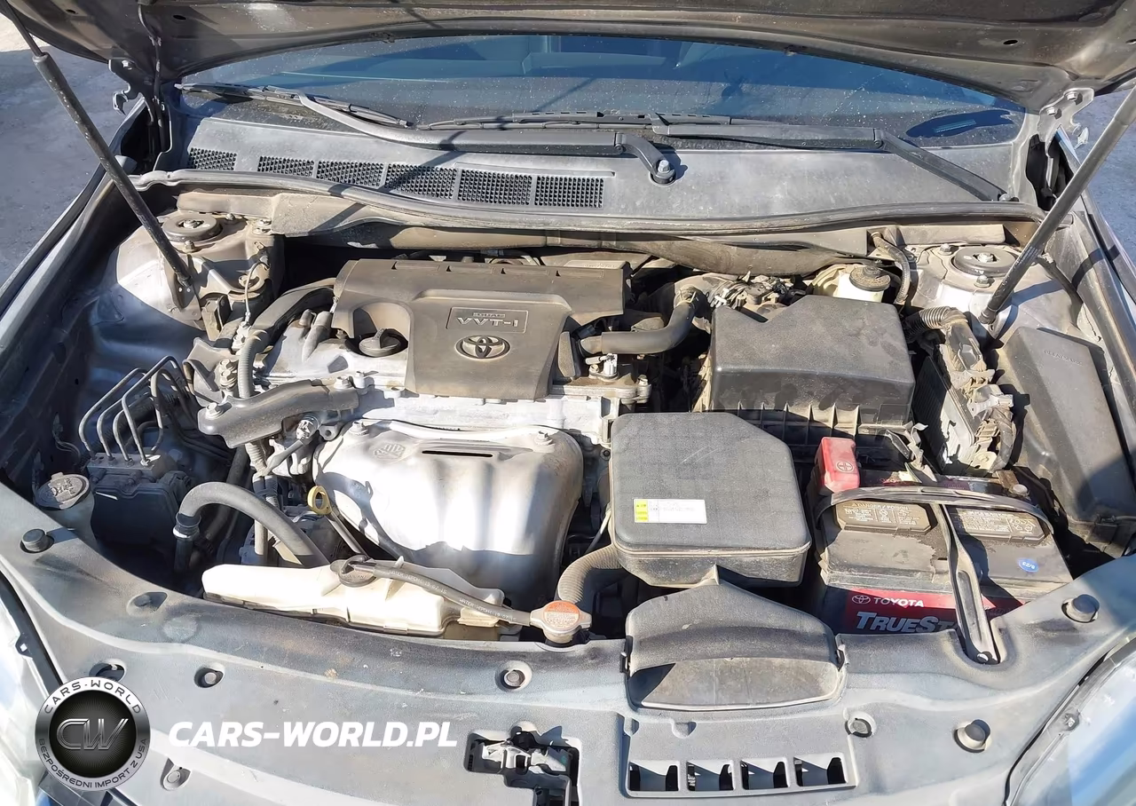 2016 Toyota Camry Se VIN:4T1BF1FK9GU194354 - 10
