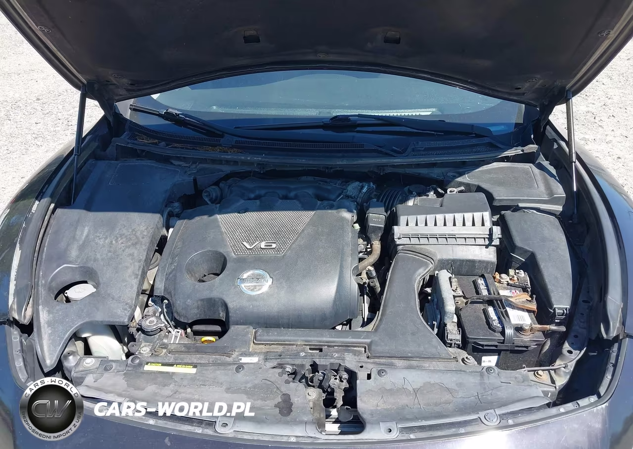 2013 Nissan Maxima 3.5 Sv VIN:1N4AA5AP2DC815773 - 10