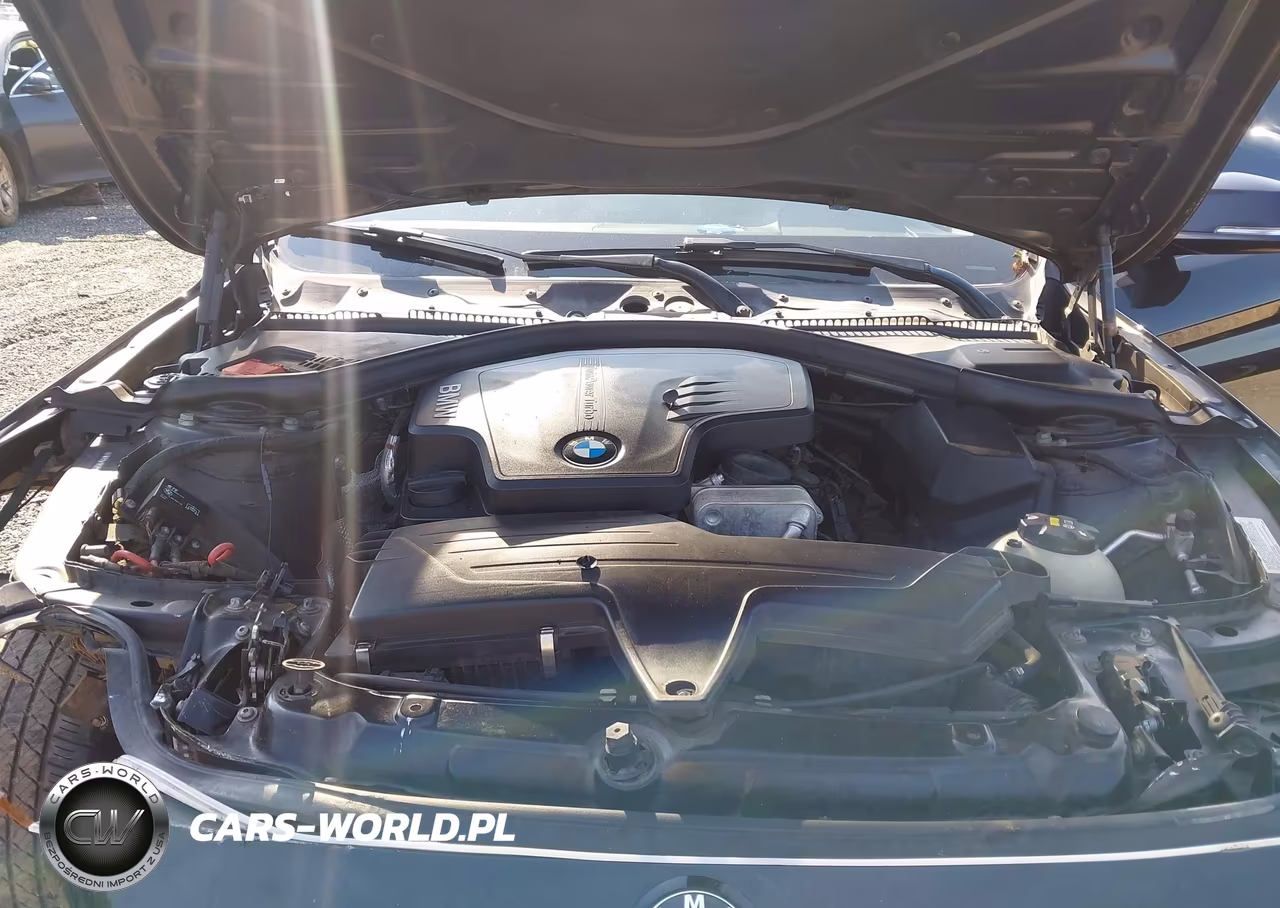 2015 BMW 428 Gran Coupe xDrive VIN:WBA4C9C59FD331436 - 10