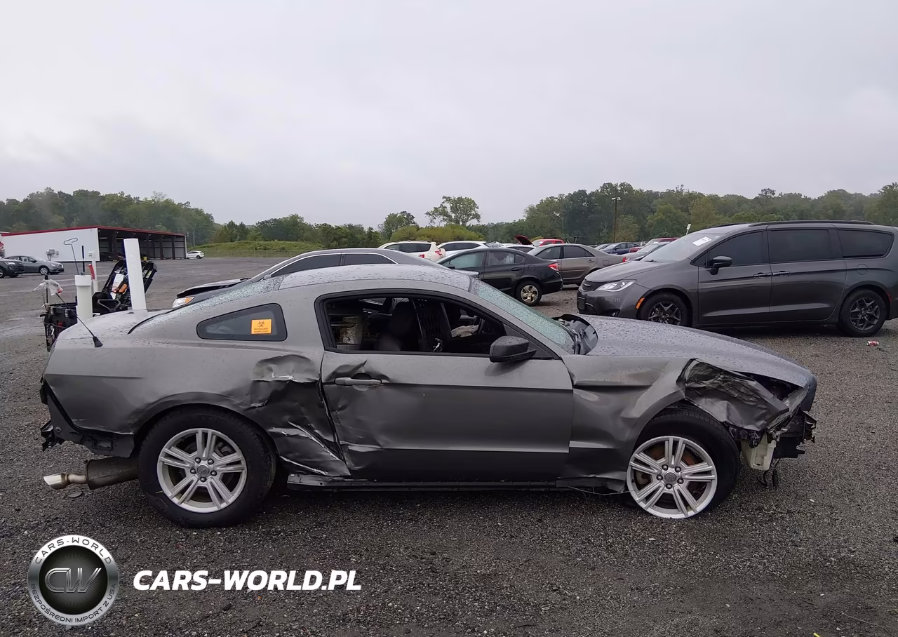 2013 Ford Mustang V6 VIN:1ZVBP8AM0D5268797 - 13