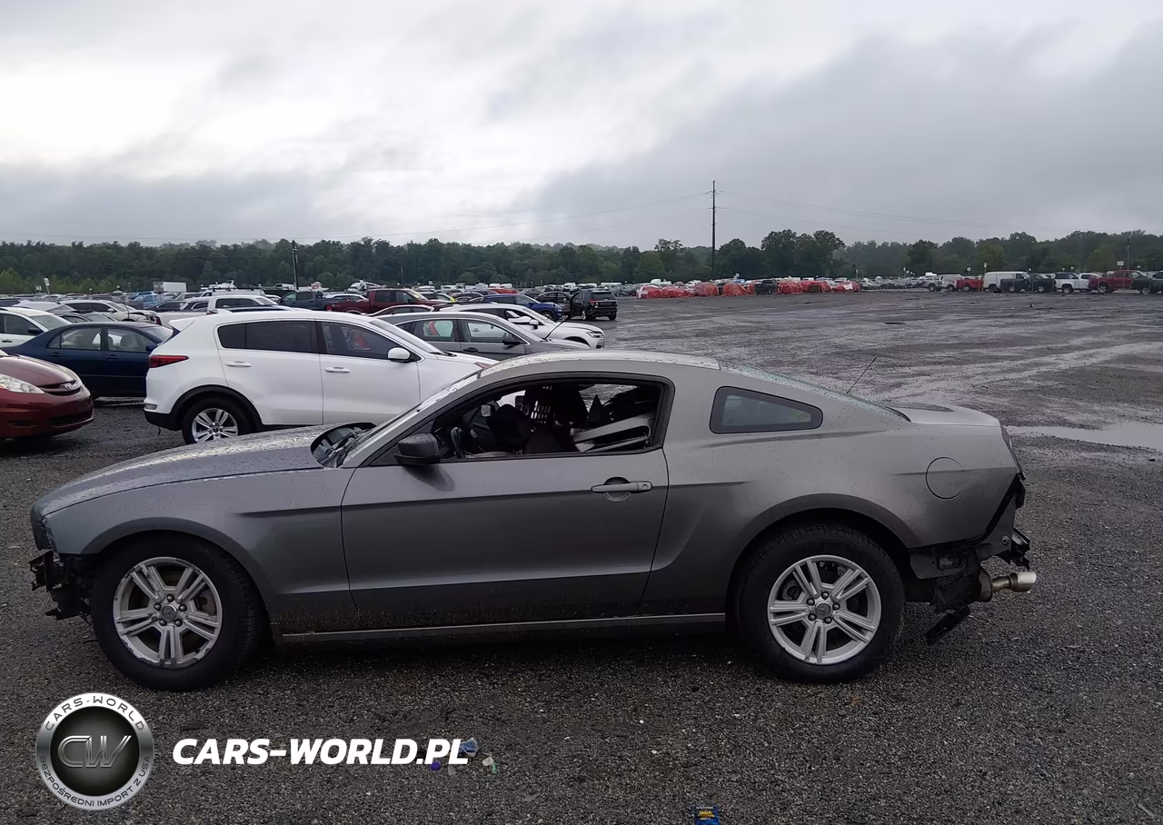 2013 Ford Mustang V6 VIN:1ZVBP8AM0D5268797 - 14