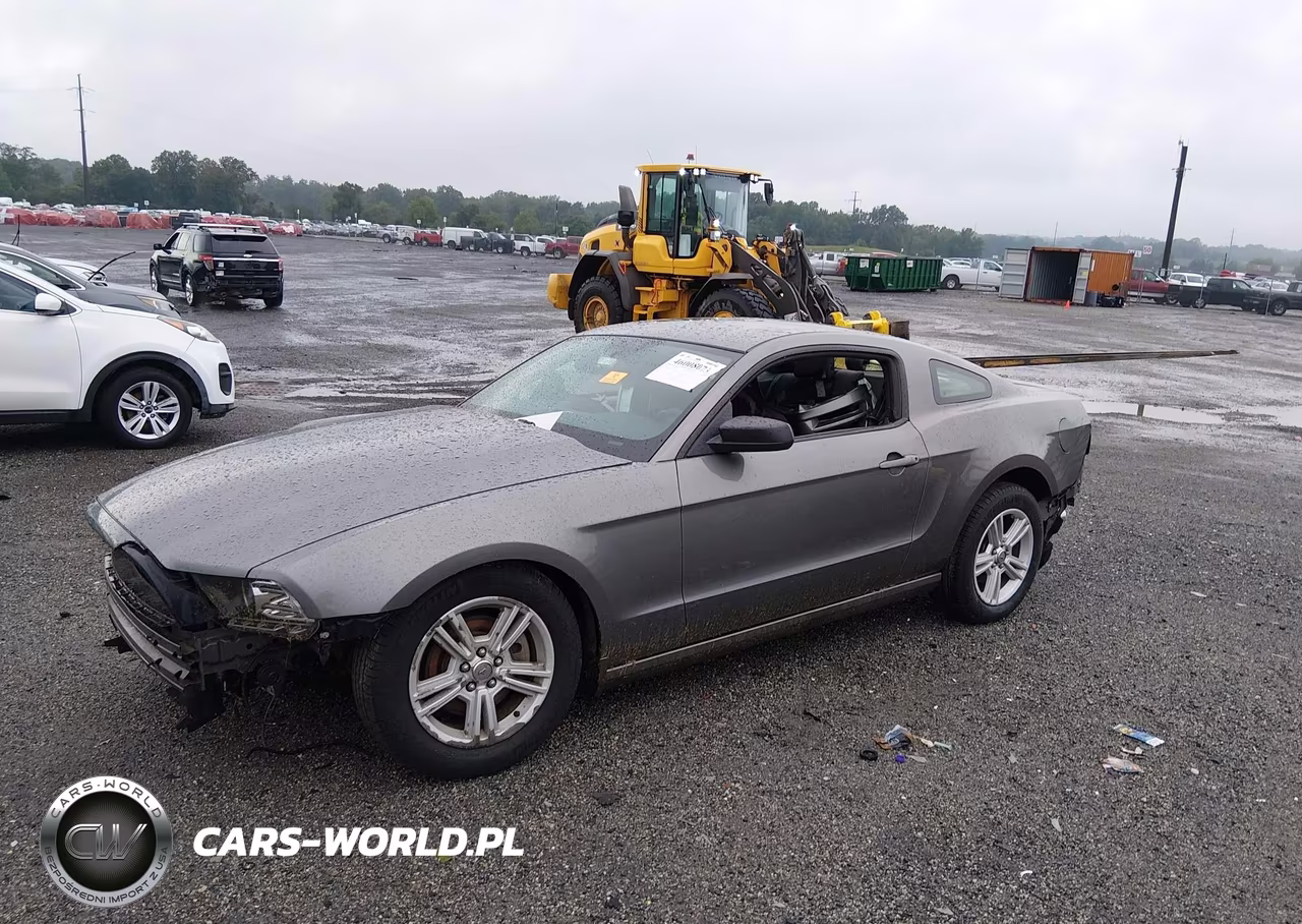 2013 Ford Mustang V6 VIN:1ZVBP8AM0D5268797 - 2